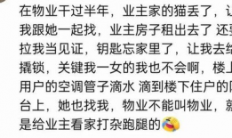 吃瓜群爆料网红小说,揭秘网红小说背后的真实故事